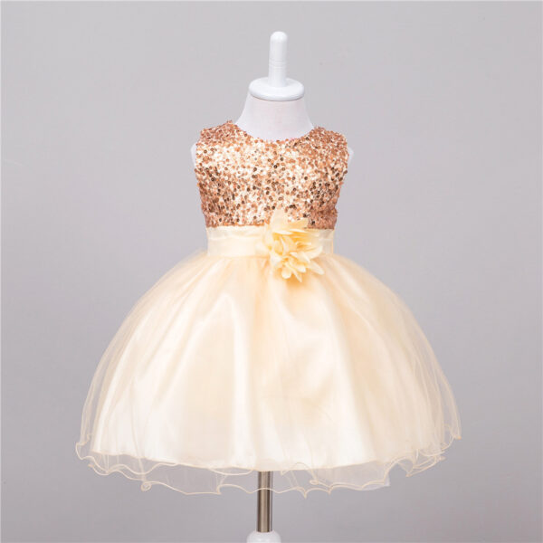 Baby Sequin Dress Flower Girl Wedding Princess Dress - Image 5